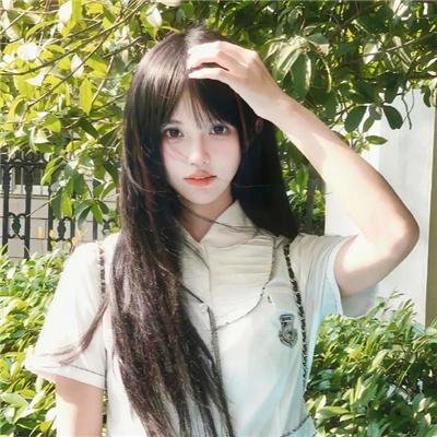 我的海獭先生